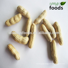 Raw Cashew Nut/Chinese Raw Type Groundnut Or Peanut